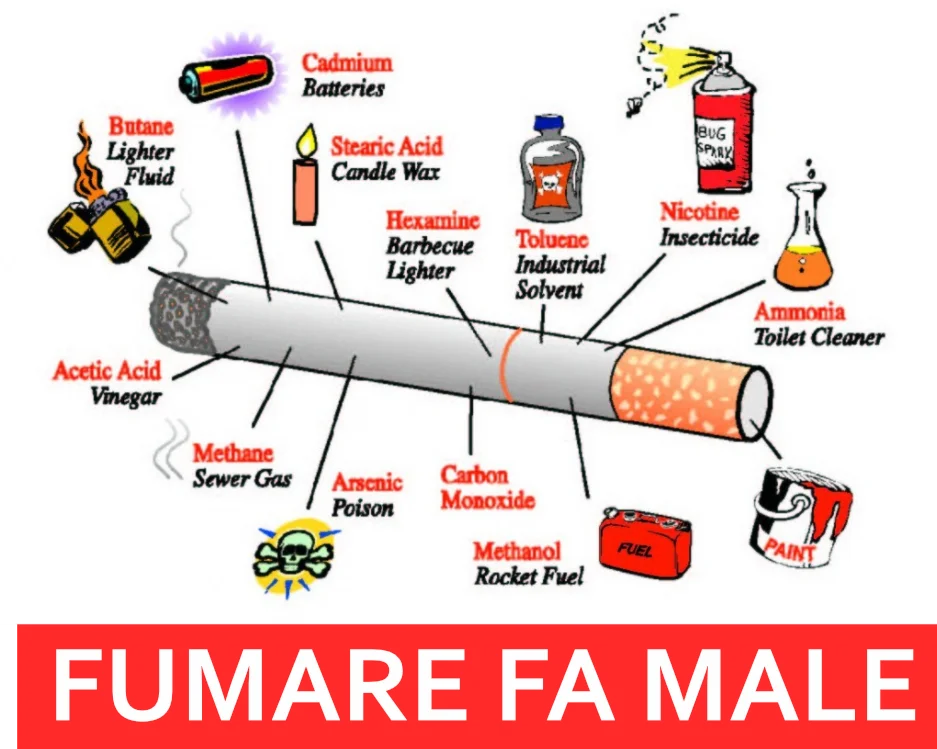 🚨 SOS Salute in Polonia: Il “Miracolo” Antifumo è Svaporato? 🚬
